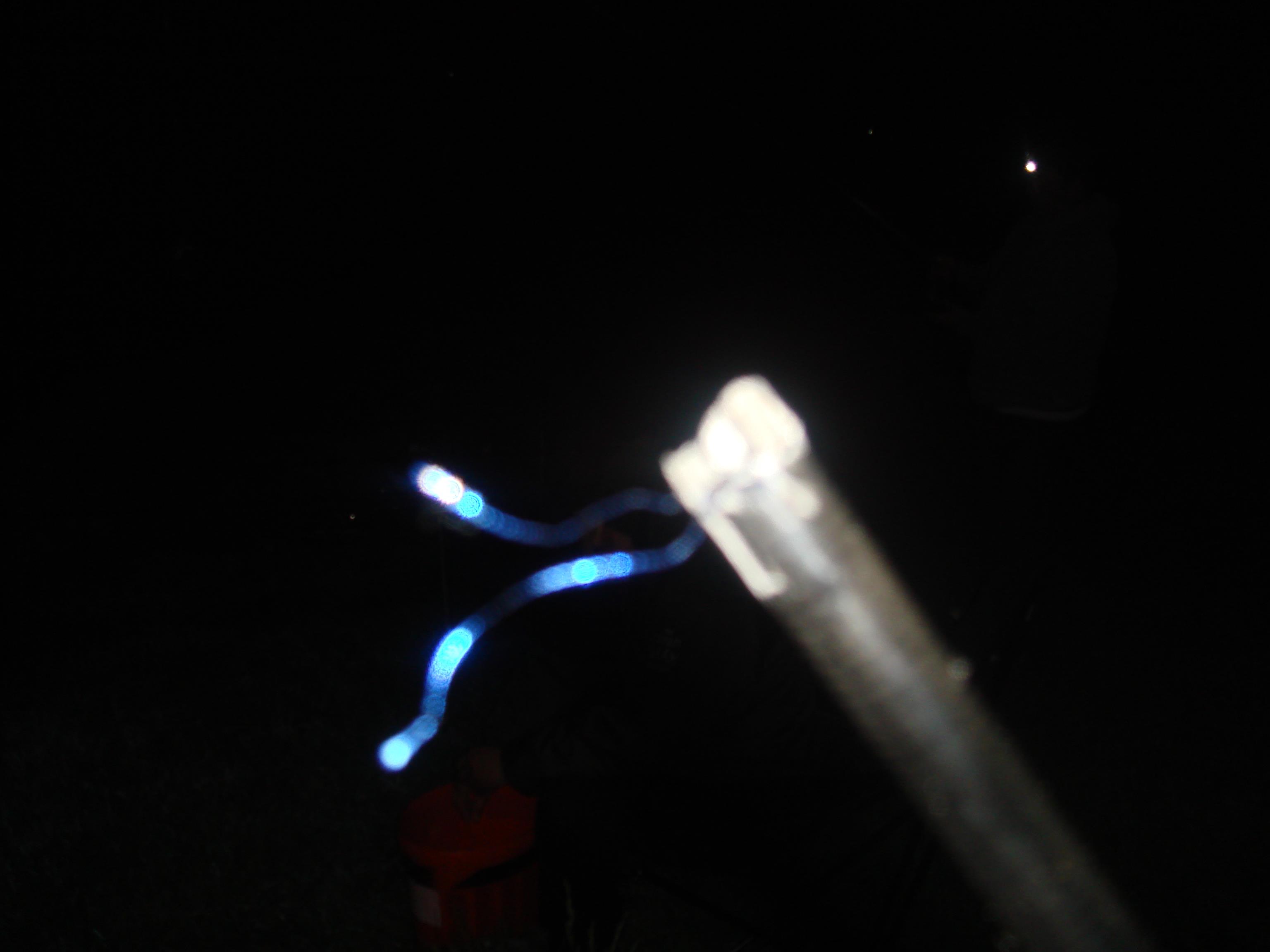 Moara Vlasiei 2 - Aprilie 2010